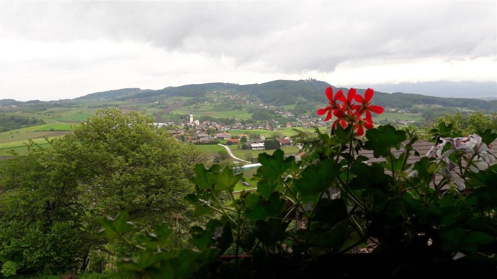 Apartament Tourist Farm Skrbina Otočec Zewnętrze zdjęcie